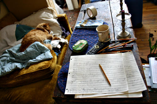 Cat and manuscript