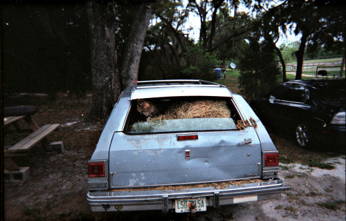 The proper use of a station wagon