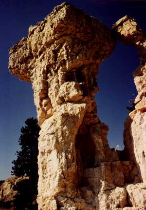 Bryce Canyon Pedestal